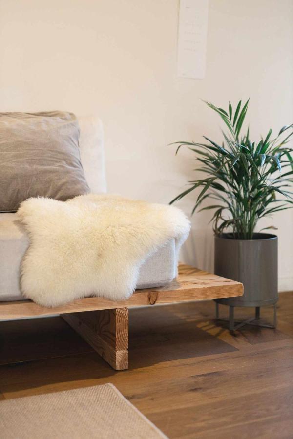 Cal Ouaire House Lohodihomes Viladesens Екстер'єр фото
